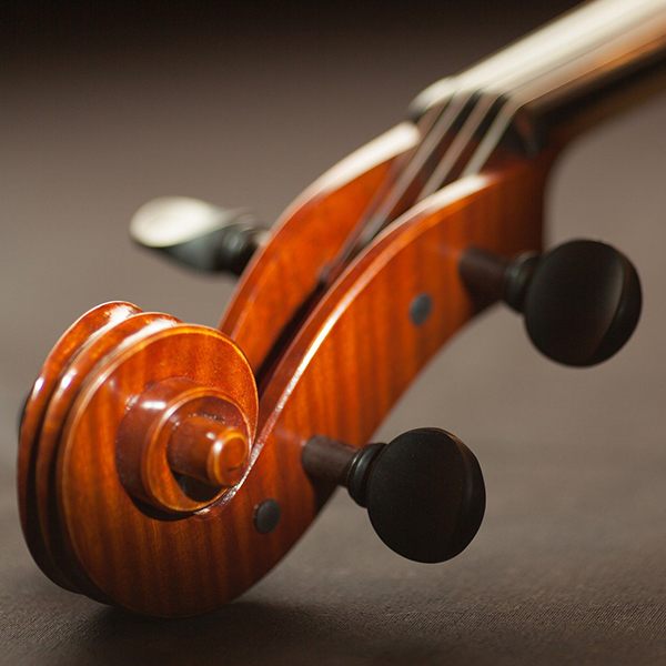 close up of the scroll on a violin